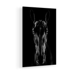 The Horse In Noir Print on Acrylic by Jackson Carvalho (16"H x 24"W x 0.25"D)