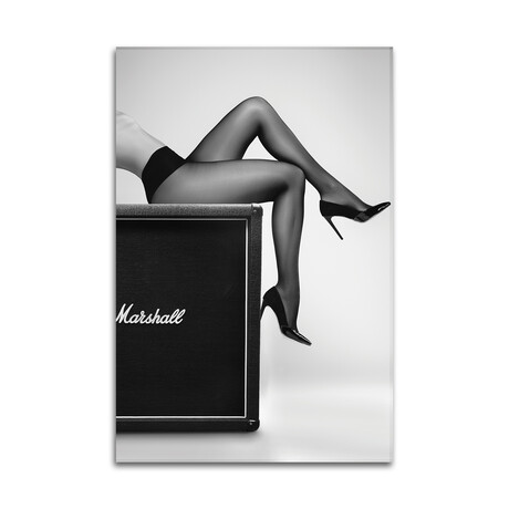 Rock N Legs Print on Acrylic by David Drake (16"H x 24"W x 0.25"D)