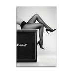 Rock N Legs Print on Acrylic by David Drake (16"H x 24"W x 0.25"D)