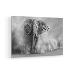 Sandstorm Black & White Print on Acrylic by Marcel Egger (24"H x 16"W x 0.25"D)
