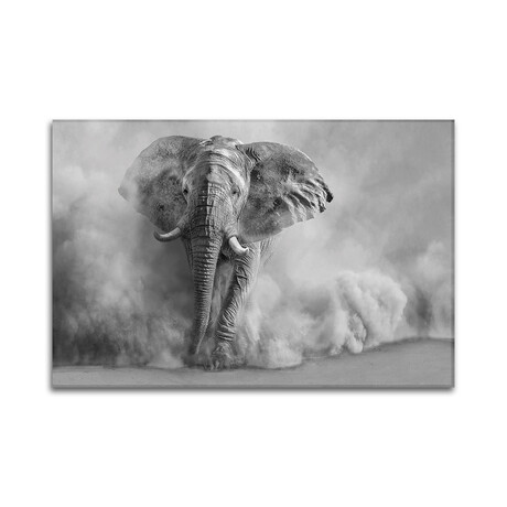 Sandstorm Black & White Print on Acrylic by Marcel Egger (24"H x 16"W x 0.25"D)