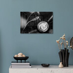 Vinyl II Print on Acrylic by 1x Studio III (24"H x 16"W x 0.25"D)