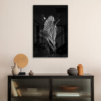 Stepping Down #6 Print on Acrylic by Christian Meermann (16"H x 24"W x 0.25"D)