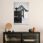 Rock N Legs Print on Acrylic by David Drake (16"H x 24"W x 0.25"D)