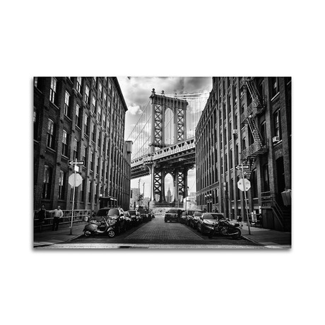 In America Print on Acrylic by Lidia Vanhamme (24"H x 16"W x 0.25"D)
