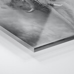 Sandstorm Black & White Print on Acrylic by Marcel Egger (24"H x 16"W x 0.25"D)