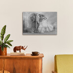 Sandstorm Black & White Print on Acrylic by Marcel Egger (24"H x 16"W x 0.25"D)