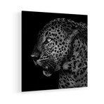 Untitled Leopard Print on Acrylic by Liwen Tao (24"H x 24"W x 0.25"D)