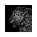 Untitled Leopard Print on Acrylic by Liwen Tao (24"H x 24"W x 0.25"D)
