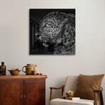 Untitled Leopard Print on Acrylic by Liwen Tao (24"H x 24"W x 0.25"D)