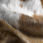 Natural Kobe Cowhide Rug // 6' X 7' (Brown & White)