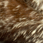 Natural Kobe Cowhide Rug // 5' X 7' (Brown & White)