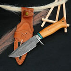 10" Olive Wood And Turquoise Handle // Damascus Knife