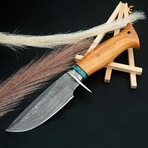 10" Olive Wood And Turquoise Handle // Damascus Knife