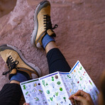 Danner // Women's // Trail 2650 GTX Hiking Shoe // Sand Gray (7.5)