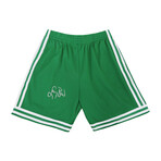 Larry Bird // BOS Celtics // Signed 1985-86 Style Mitchell & Ness Shorts