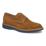 European Suede Jenson Plain Toe Derby // Snuff (8)