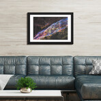 NGC 6960 (Witch's Broom Nebula), Veil Nebula, Cygnus Loop by NASA (16"H x 24"W x 1"D)