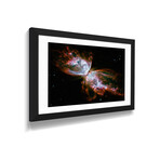 Butterfly Nebula (Hubble Space Telescope) by NASA (16"H x 24"W x 1"D)