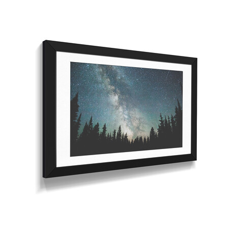 Stars Over The Forest III by Luke Anthony Gram (16"H x 24"W x 1"D)