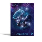 SPACE: Galactic Edition Trading Cards // Inner Carton // 6 Mega Boxes