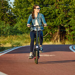 GoBlitz // Compact Foldable E-Bike (Black)