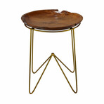 Bare Decor Paolo Accent Table with Teak Wood Top with Gold Finish Metal Legs, Round 19"