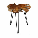 Bare Decor Evan Accent End Table with Natural Live Edge Solid Teak Root Top