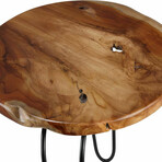 Bare Decor Lacie Accent End Table with Solid Live Edge Teak Root Top, Round 16"