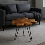 Bare Decor Evan Accent End Table with Natural Live Edge Solid Teak Root Top
