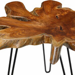 Bare Decor Evan Accent End Table with Natural Live Edge Solid Teak Root Top