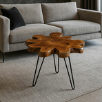 Bare Decor Evan Accent End Table with Natural Live Edge Solid Teak Root Top