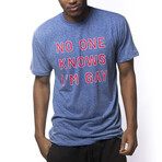 Noone Knows I'M Gay T-Shirt // Triblend Royal (3XL)