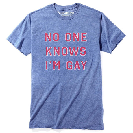Noone Knows I'M Gay T-Shirt // Triblend Royal (S)