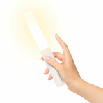 2 Pack Bedside Torch Lamp (Black Sconce)