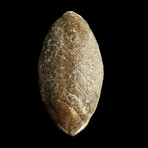 Ancient Greek Lead Sling Bullet Engraved With a Spearhead