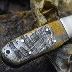 The Wlidland Razor // Clip Point // White Sheep Horn