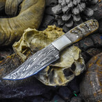 The Wlidland Razor // Clip Point // White Sheep Horn