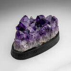 Genuine Amethyst Crystal Cluster On a Wooden Stand