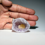 Botryoidal Fluorite in Quartz var. Amethyst Geode from Uruguay
