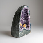 Genuine Calcite in Amethyst Cluster Geode from Uruguay