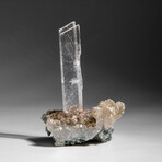 Gypsum Var. Selenite on Matrix from Rio Grande do Sul, Brazil