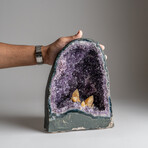 Genuine Calcite in Amethyst Cluster Geode from Uruguay