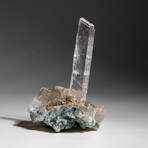 Gypsum Var. Selenite on Matrix from Rio Grande do Sul, Brazil