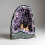Genuine Calcite in Amethyst Cluster Geode from Uruguay