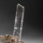 Gypsum Var. Selenite on Matrix from Rio Grande do Sul, Brazil