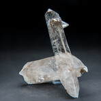 Genuine Clear Quartz Crystal Cluster Point from Brazil