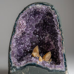 Genuine Calcite in Amethyst Cluster Geode from Uruguay
