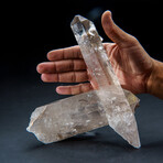 Genuine Clear Quartz Crystal Cluster Point from Brazil
