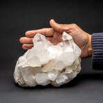 Genuine Clear Quartz Crystal Cluster from Brazil // 6.1 lbs